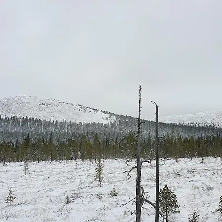 Apartmanhotel Lost In Yllaes 4*