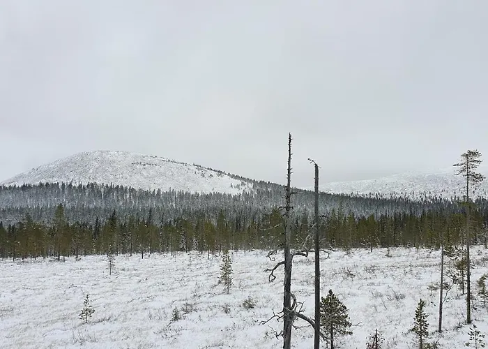 מלון דירות Lost In Yllaes 4*