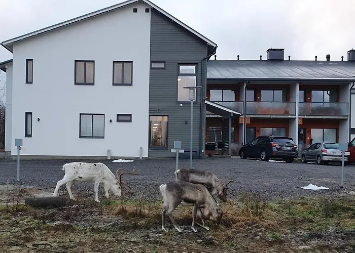 מלון דירות Lost In Yllaes Äkäslompolo